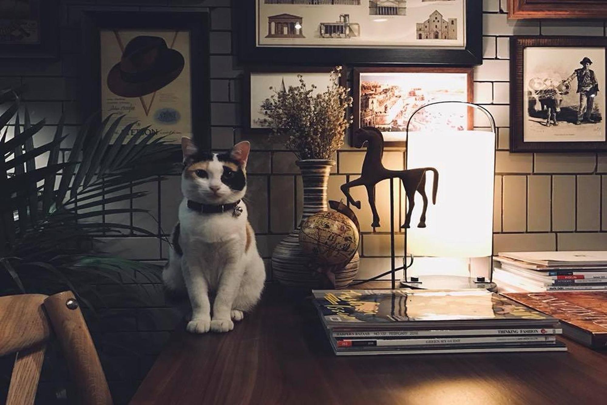Heyyyy Bangkok Hostel Ngoại thất bức ảnh